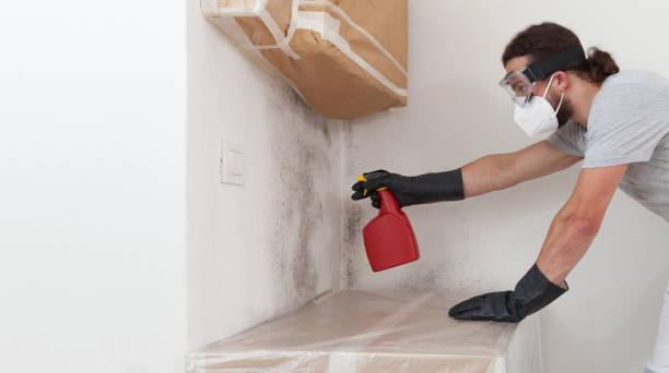 Attic Mold Remediation treatment on roof deck in Red Lion
