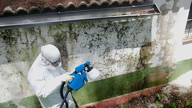 Mold Removal service in Red Lion